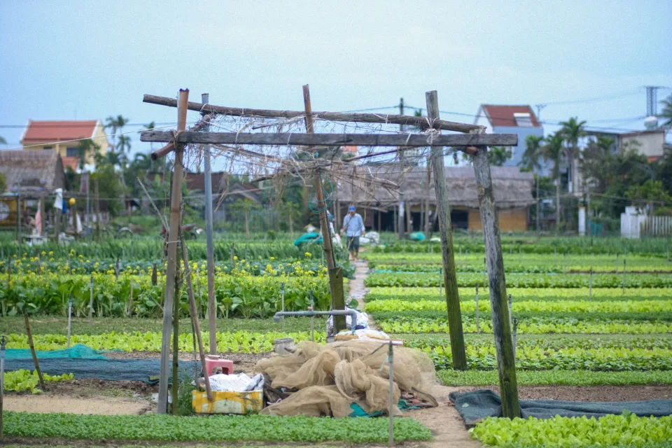 Vật tư thiết yếu cho nhà vườn